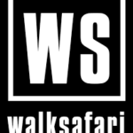 WALK SAFARI SHOES